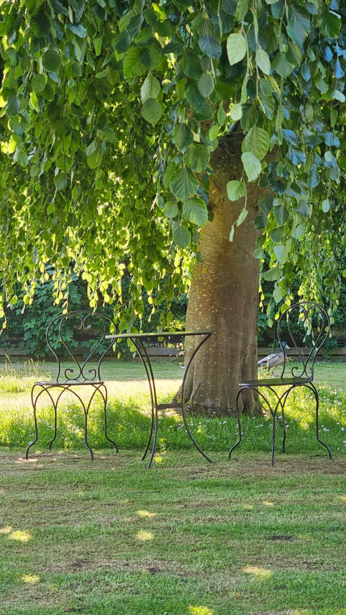 Surforama Mit Meerblick Und Garten *